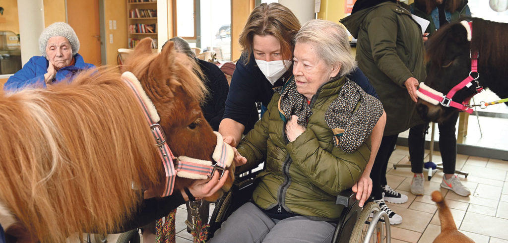 Ponybesuch