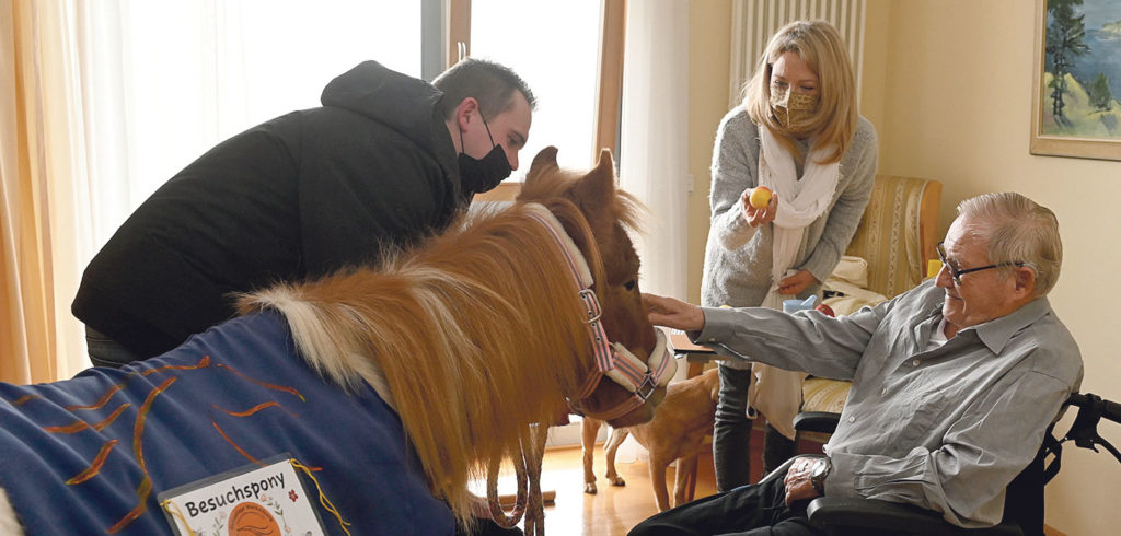 Ponybesuch